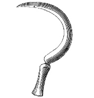 Иллюстрация к книге — Круг Года. Викканские праздники, их атрибуты и значение [_502.jpg]