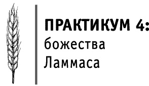 Иллюстрация к книге — Круг Года. Викканские праздники, их атрибуты и значение [_506.jpg]
