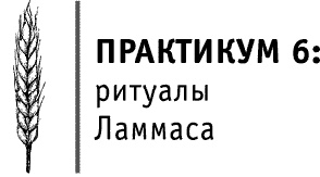 Иллюстрация к книге — Круг Года. Викканские праздники, их атрибуты и значение [_528.jpg]