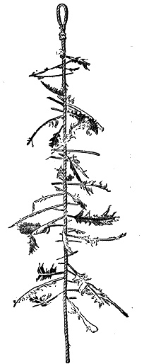 Иллюстрация к книге — Круг Года. Викканские праздники, их атрибуты и значение [_585.jpg]