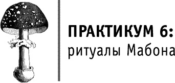 Иллюстрация к книге — Круг Года. Викканские праздники, их атрибуты и значение [_615.jpg]