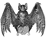 Иллюстрация к книге — Круг Года. Викканские праздники, их атрибуты и значение [_652.jpg]