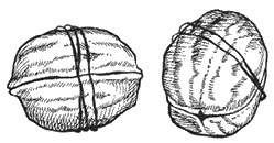 Иллюстрация к книге — Круг Года. Викканские праздники, их атрибуты и значение [_695.jpg]