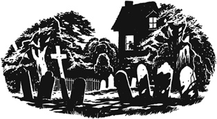 Иллюстрация к книге — Ученица Ведьмака [i_001.jpg]