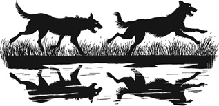 Иллюстрация к книге — Ученица Ведьмака [i_043.jpg]