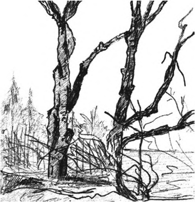 Иллюстрация к книге — Про падение пропадом [image3.jpg]