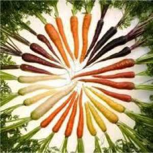 Иллюстрация к книге — Пища Поэтов и Принцев [i_019.jpg]