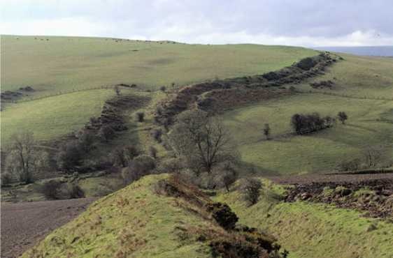 Иллюстрация к книге — Пища Поэтов и Принцев [i_098.jpg]