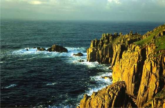 Иллюстрация к книге — Пища Поэтов и Принцев [i_142.jpg]