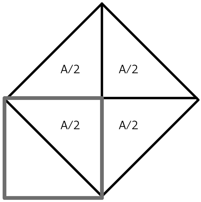 Иллюстрация к книге — Тайная жизнь мозга. Как наш мозг думает, чувствует и принимает решения [img_3.jpg]