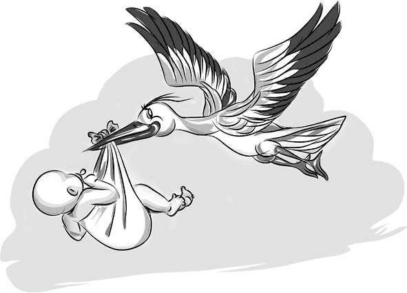 Иллюстрация к книге — Вальс гормонов 2. Девочка, девушка, женщина + "мужская партия". Танцуют все! [i_035.jpg]