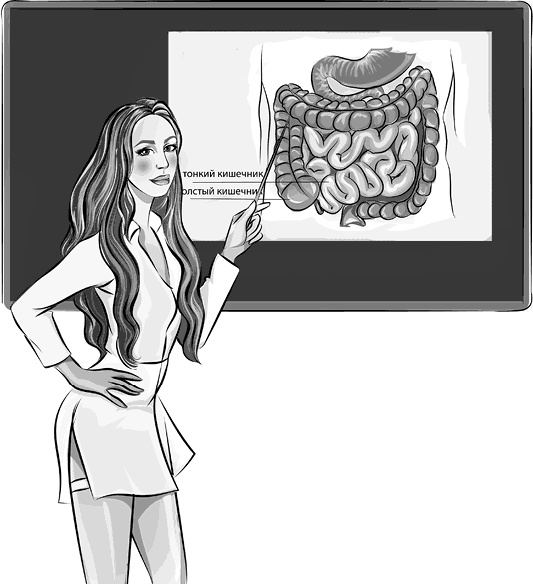 Иллюстрация к книге — Вальс гормонов 2. Девочка, девушка, женщина + "мужская партия". Танцуют все! [i_052.jpg]