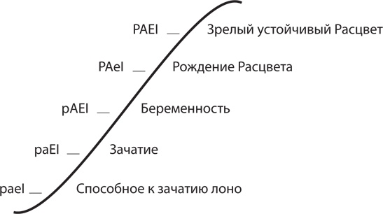 Иллюстрация к книге — Управление жизненным циклом корпораций [i_091.jpg]