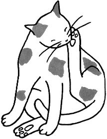 Иллюстрация к книге — Уборка в стиле дзен. Метод наведения порядка без усилий и стресса от буддийского монаха [_2.jpg]