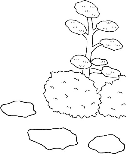 Иллюстрация к книге — Уборка в стиле дзен. Метод наведения порядка без усилий и стресса от буддийского монаха [_54.jpg]