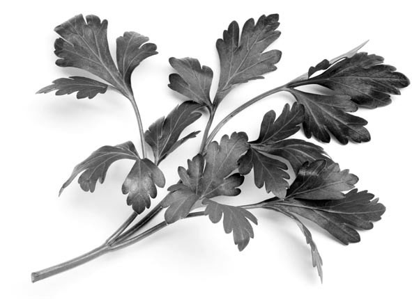 Иллюстрация к книге — Оружие против близорукости [i_028.jpg]