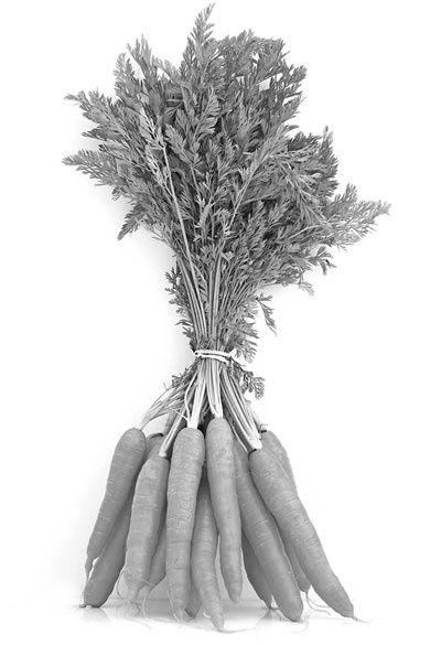 Иллюстрация к книге — Оружие против близорукости [i_030.jpg]