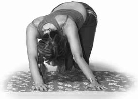 Иллюстрация к книге — Заболевания позвоночника. Карманный справочник [_26.jpg]