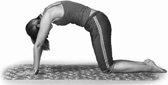 Иллюстрация к книге — Заболевания позвоночника. Карманный справочник [_40.jpg]