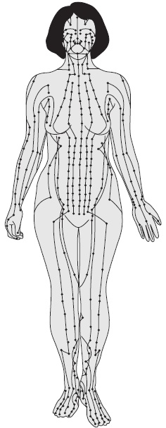 Иллюстрация к книге — Чистка сосудов и крови [i_007.jpg]
