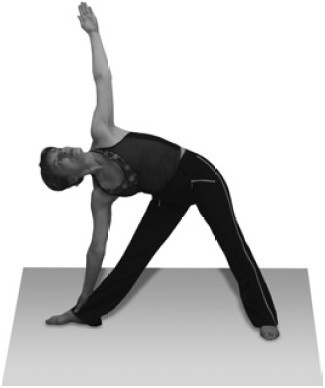 Иллюстрация к книге — Чистка сосудов и крови [i_042.jpg]