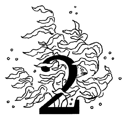 Иллюстрация к книге — Теория заговора. Правда о рекламе и услугах [i_002.jpg]