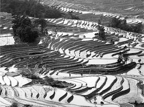 Иллюстрация к книге — Биология добра и зла. Как наука объясняет наши поступки [i_020.jpg]