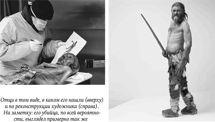 Иллюстрация к книге — Биология добра и зла. Как наука объясняет наши поступки [i_025.jpg]