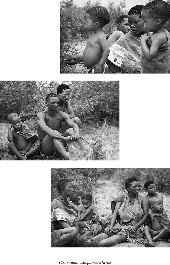 Иллюстрация к книге — Биология добра и зла. Как наука объясняет наши поступки [i_028.jpg]