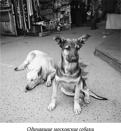 Иллюстрация к книге — Биология добра и зла. Как наука объясняет наши поступки [i_033.jpg]