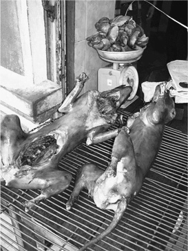 Иллюстрация к книге — Биология добра и зла. Как наука объясняет наши поступки [i_041.jpg]