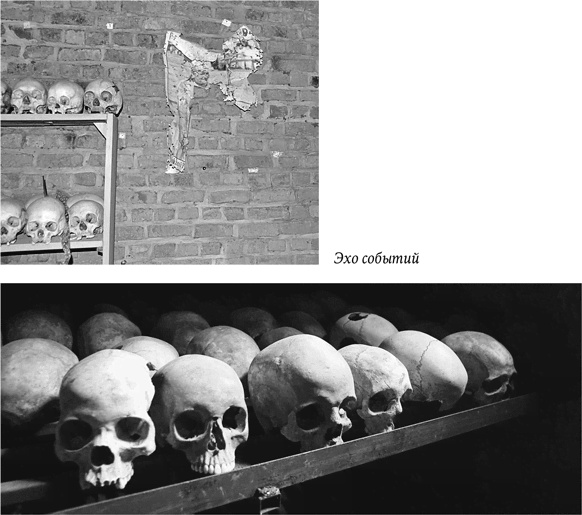 Иллюстрация к книге — Биология добра и зла. Как наука объясняет наши поступки [i_047.jpg]