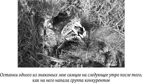 Иллюстрация к книге — Биология добра и зла. Как наука объясняет наши поступки [i_055.jpg]