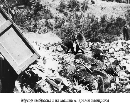 Иллюстрация к книге — Биология добра и зла. Как наука объясняет наши поступки [i_056.jpg]