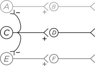 Иллюстрация к книге — Биология добра и зла. Как наука объясняет наши поступки [i_076.jpg]
