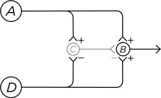 Иллюстрация к книге — Биология добра и зла. Как наука объясняет наши поступки [i_077.jpg]