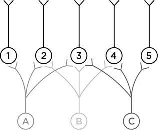 Иллюстрация к книге — Биология добра и зла. Как наука объясняет наши поступки [i_078.jpg]