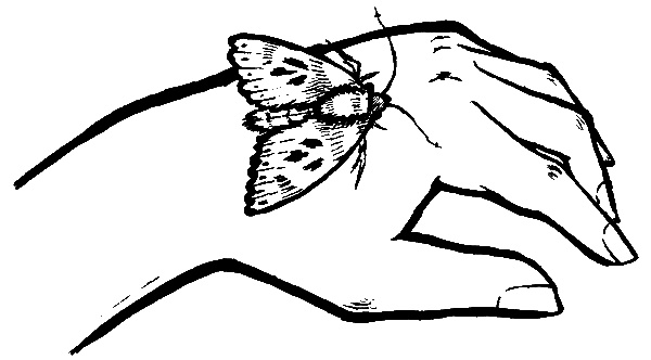 Иллюстрация к книге — Мемуары младенца [i_007.jpg]