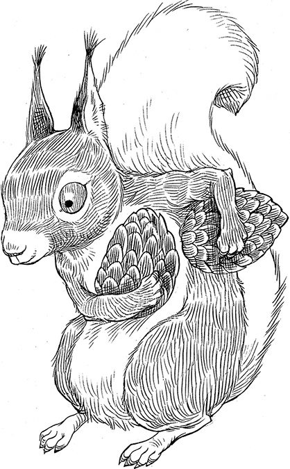 Иллюстрация к книге — Юная леди Гот и роковая симфония [i_006.jpg]