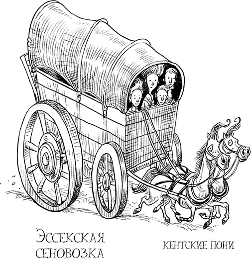 Иллюстрация к книге — Юная леди Гот и роковая симфония [i_118.jpg]