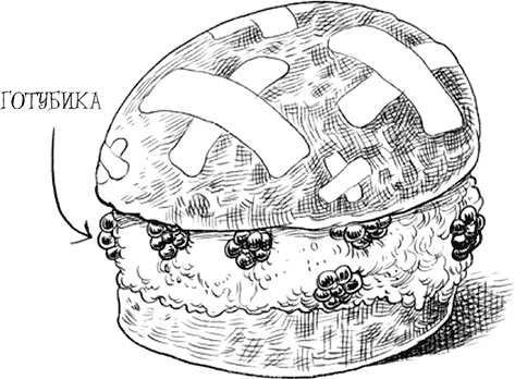 Иллюстрация к книге — Юная леди Гот и роковая симфония [i_123.jpg]