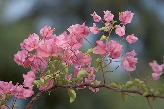 Иллюстрация к книге — Живая цифра. Книга о цвете, или Как заставить дышать цифровую фотографию [i_017.jpg]