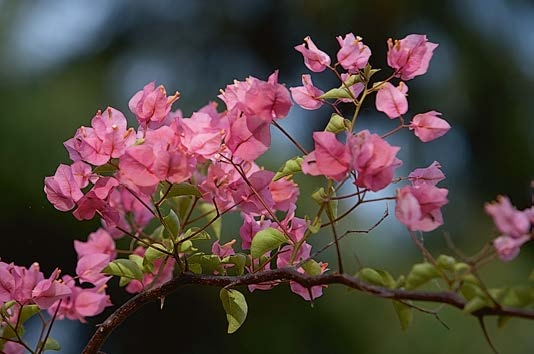 Иллюстрация к книге — Живая цифра. Книга о цвете, или Как заставить дышать цифровую фотографию [i_020.jpg]