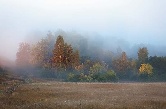 Иллюстрация к книге — Живая цифра. Книга о цвете, или Как заставить дышать цифровую фотографию [i_028.jpg]
