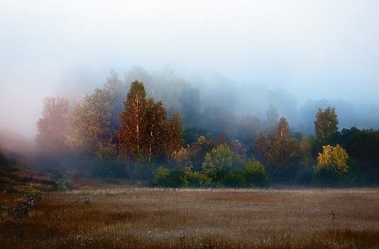 Иллюстрация к книге — Живая цифра. Книга о цвете, или Как заставить дышать цифровую фотографию [i_030.jpg]