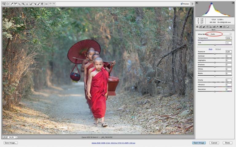 Иллюстрация к книге — Живая цифра. Книга о цвете, или Как заставить дышать цифровую фотографию [i_165.jpg]