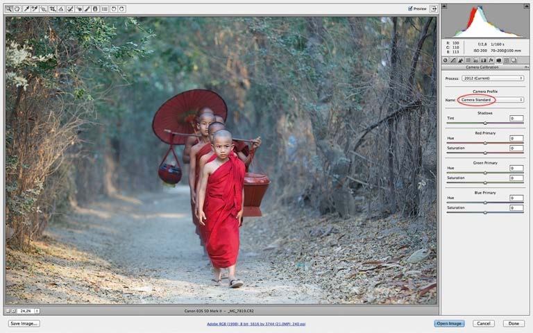 Иллюстрация к книге — Живая цифра. Книга о цвете, или Как заставить дышать цифровую фотографию [i_167.jpg]