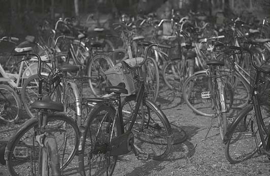 Иллюстрация к книге — Живая цифра. Книга о цвете, или Как заставить дышать цифровую фотографию [i_183.jpg]