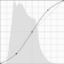 Иллюстрация к книге — Живая цифра. Книга о цвете, или Как заставить дышать цифровую фотографию [i_192.jpg]