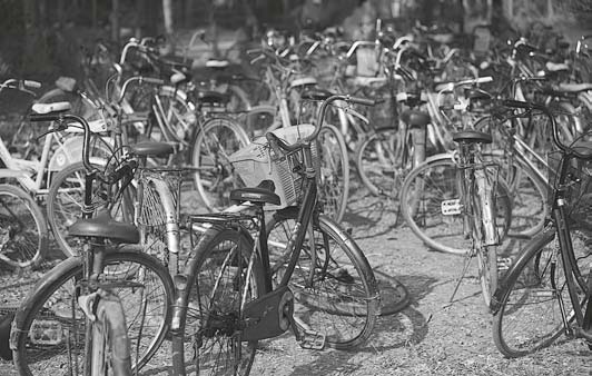 Иллюстрация к книге — Живая цифра. Книга о цвете, или Как заставить дышать цифровую фотографию [i_194.jpg]